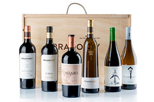 Vinos-Pradorey