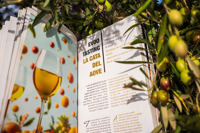 Página de cata AOVE, Guía EVOOLEUM 2026
